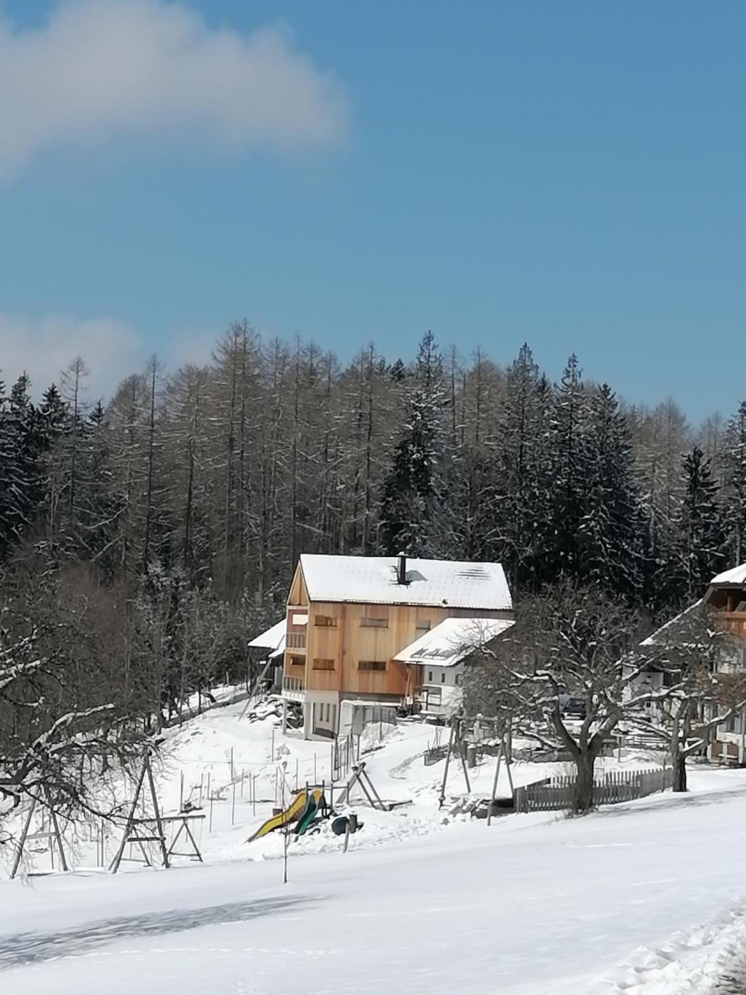 Appartement Holzhaus "Zum Schwarz'N" à Aurach am Hongar Extérieur photo